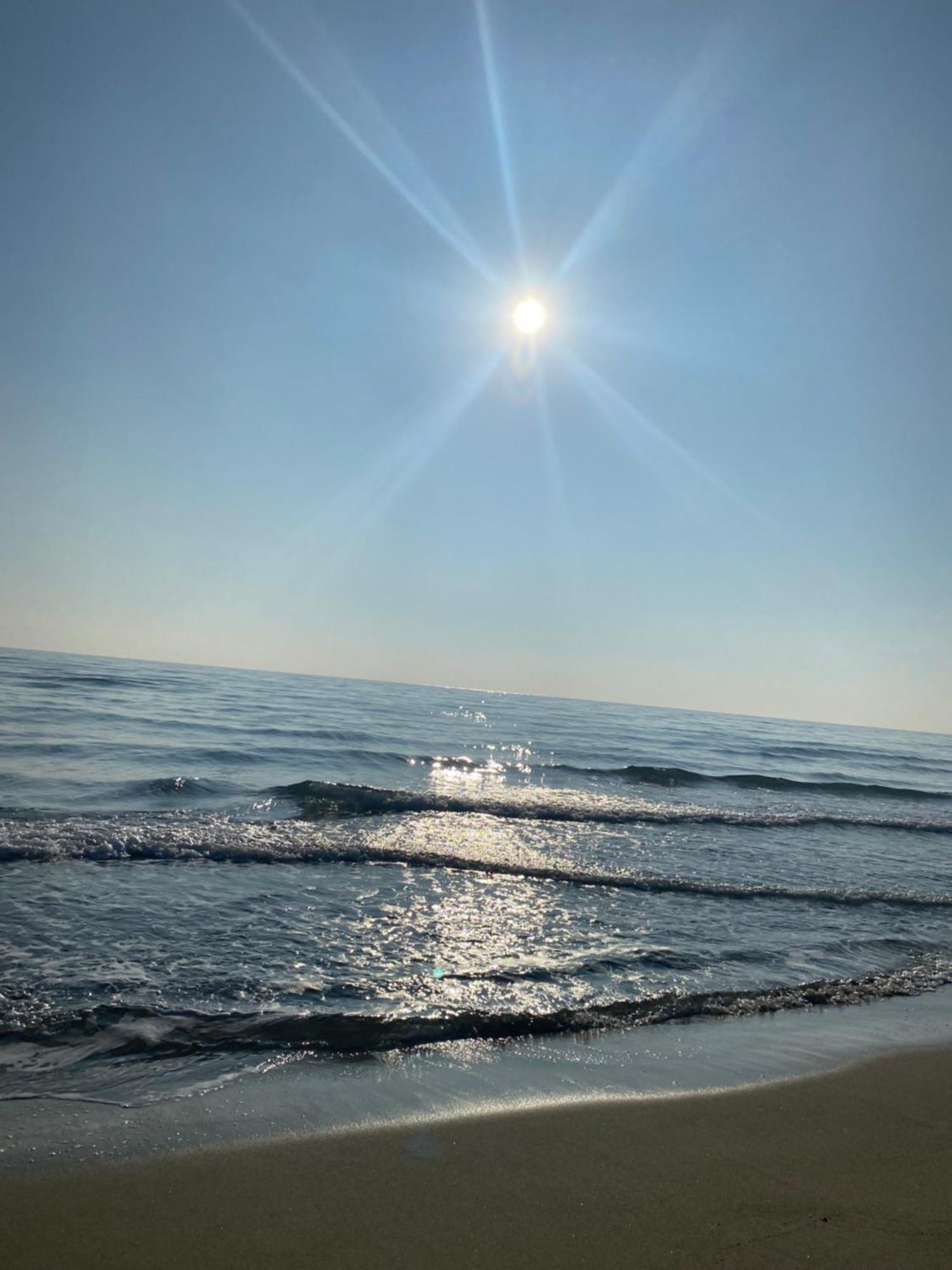 Hotel Saint Georges, Face A La Mer 卡内 外观 照片